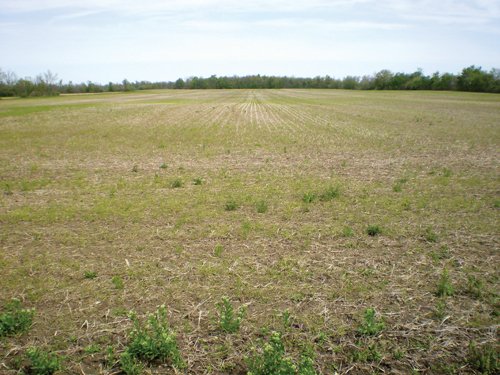 Property photo 10 - 160 Acres in 4 Tracts - Building Potential and Cropland